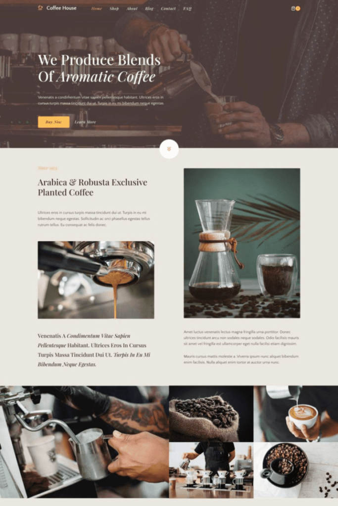 coffee roaster starter template 768x1152 1